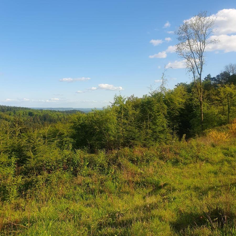 Forest Cedar Lodge, Forest Of Dean Cinderford 外观 照片